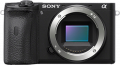 Sony a6600