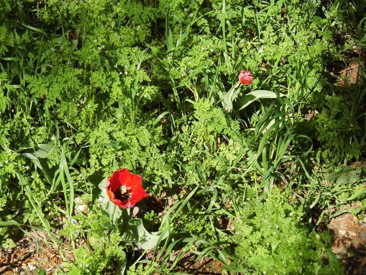 BenQ Corporation GH600 camera sample Photo. Captured without flashlight at Daylight. Orientation: Landscape. ISO: 100. Exposure time: 1/331. Focus: 42/10. Original size: 4608x3456. Uploaded By anonymous At 27 Apr, 2019