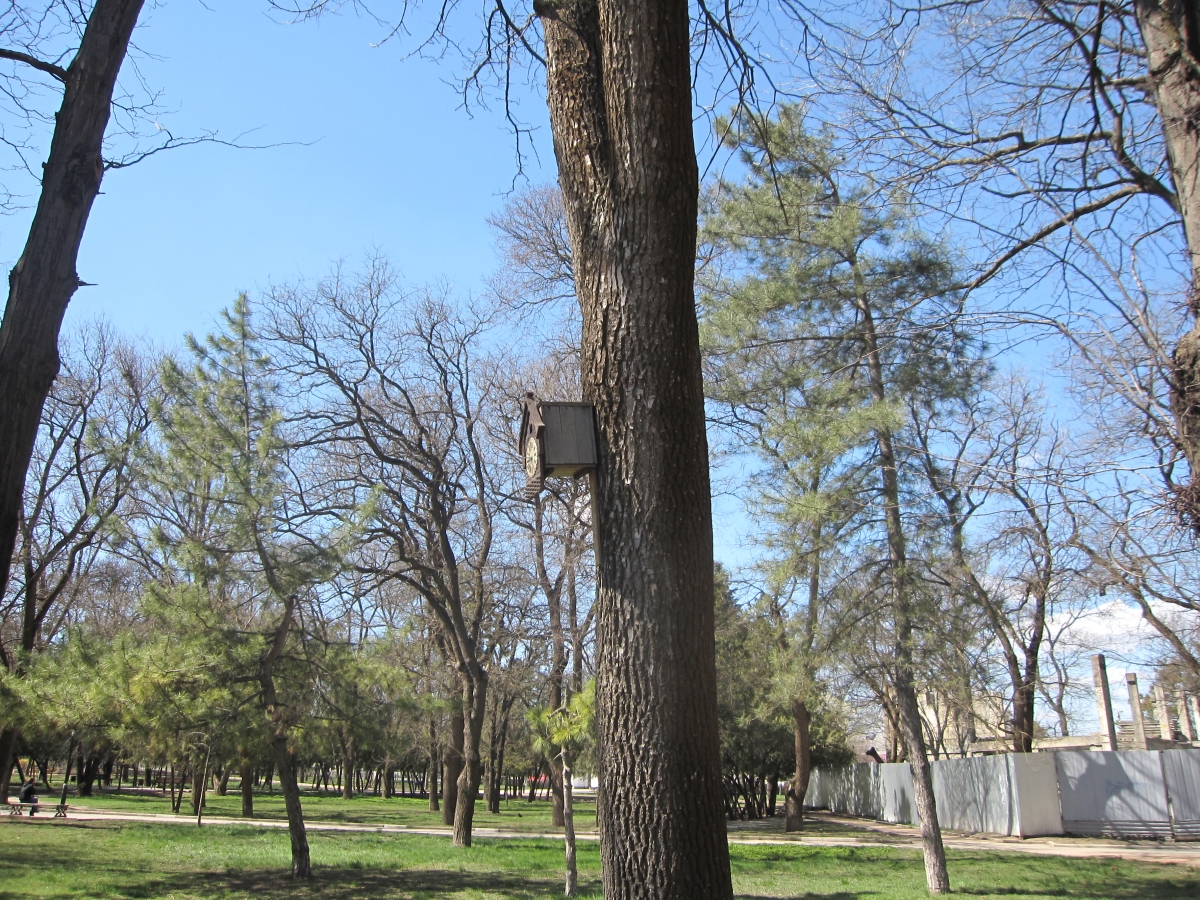 Canon PowerShot SD880 IS (Digital IXUS 870 IS) camera sample Photo. Captured without flashlight at Daylight. Orientation: Landscape. ISO: 80. Exposure time: 1/640. Focus: 28/10. Original size: 3648x2736. Uploaded By anonymous At 15 Jan, 2021