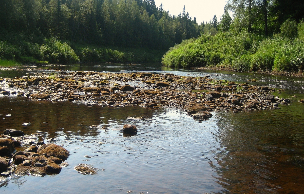 Canon PowerShot SD600 (Digital IXUS 60 / IXY Digital 70) camera sample Photo. Captured without flashlight at Daylight. Orientation: Landscape. Exposure time: 1/800. Focus: 28/10. Average rating on Xameras 1. Original size: 2452x1569. Uploaded By anonymous At 15 Jan, 2021