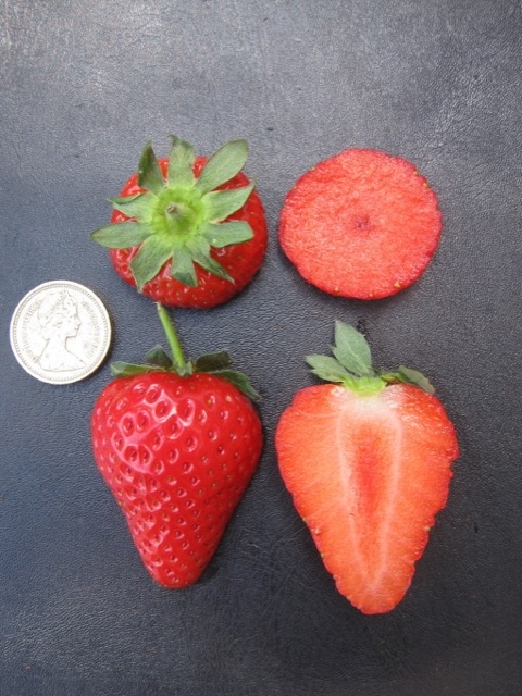 Canon DIGITAL IXUS 990 IS camera sample Photo. Captured without flashlight at Daylight. Orientation: Portrait. ISO: 100. Exposure time: 1/125. Focus: 16/5. Original size: 480x640. Uploaded By anonymous At 27 Apr, 2019