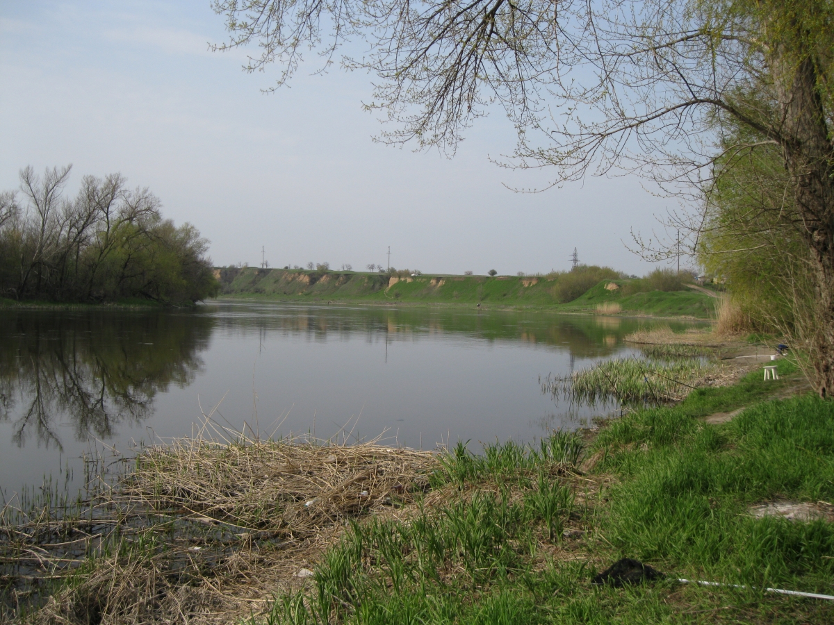 Canon PowerShot A3100 IS camera sample Photo. Captured without flashlight at Daylight. Orientation: Landscape. ISO: 80. Exposure time: 1/200. Focus: 80/10. Original size: 4000x3000. Uploaded By anonymous At 27 Apr, 2019