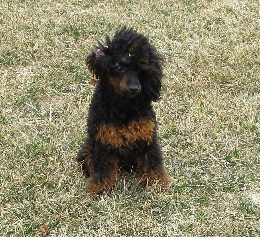 Canon PowerShot ELPH 180 camera sample Photo Xameras Library of